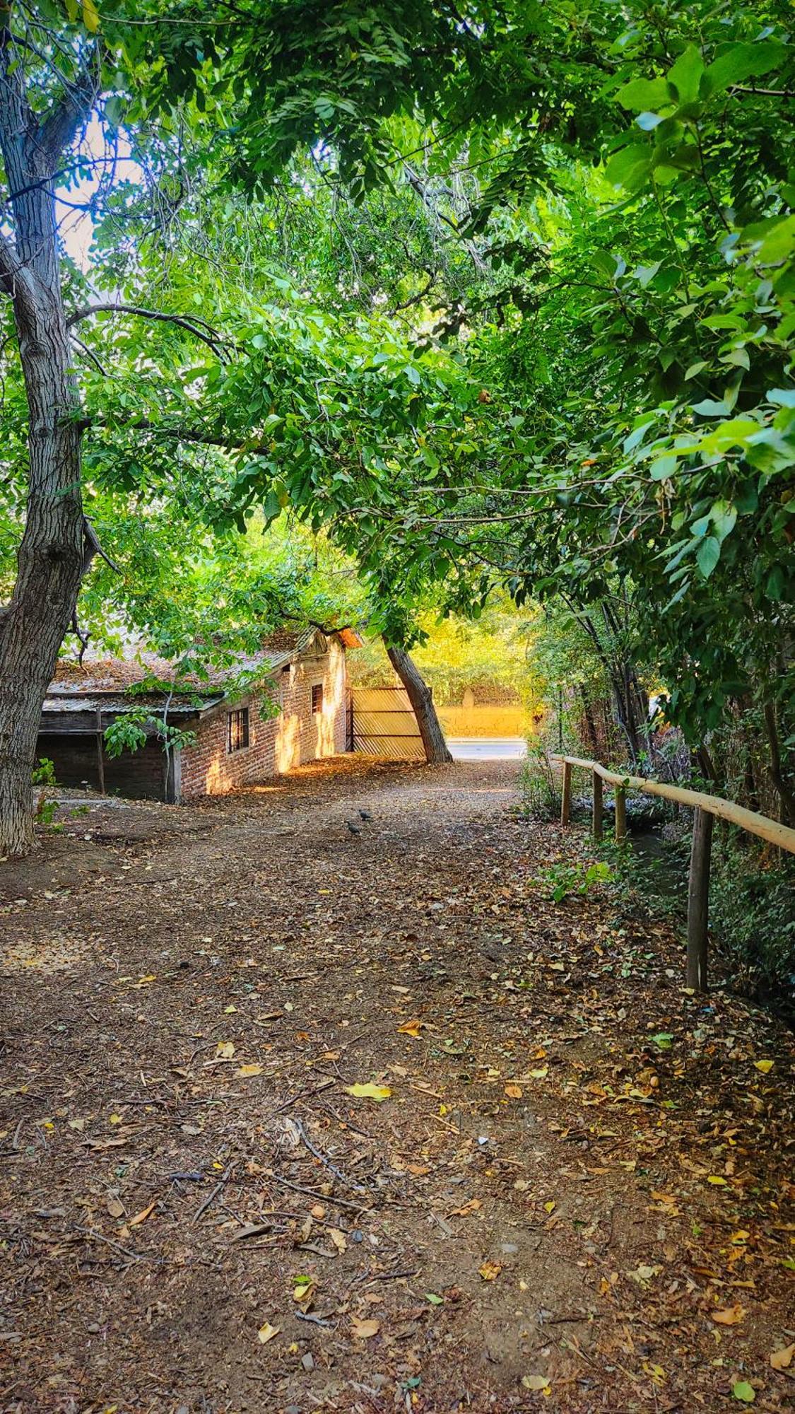 El Jardin, Eco Cabanas Boutique San Alfonso Eksteriør billede